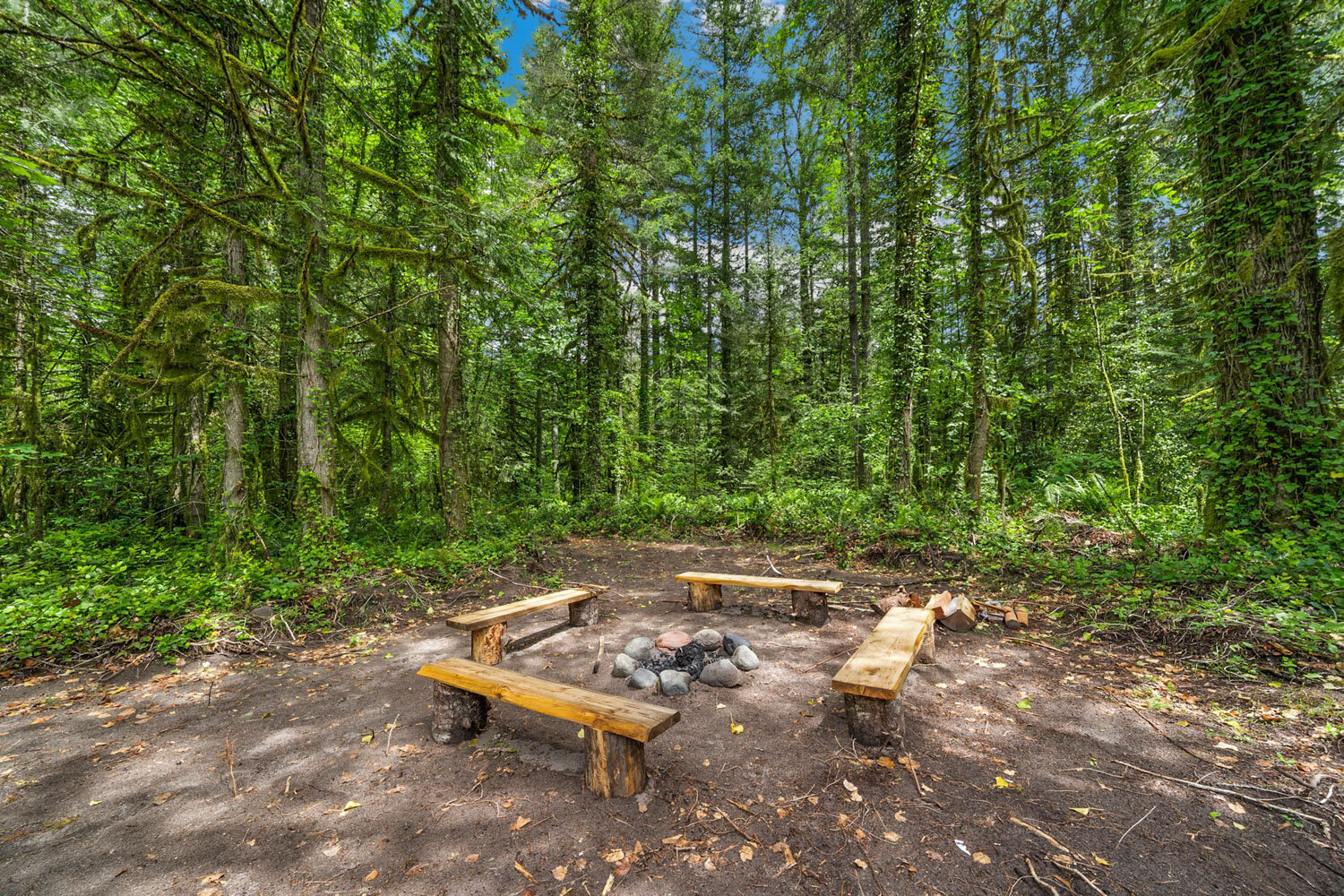 Small fire pit area with wooden benches in the forest