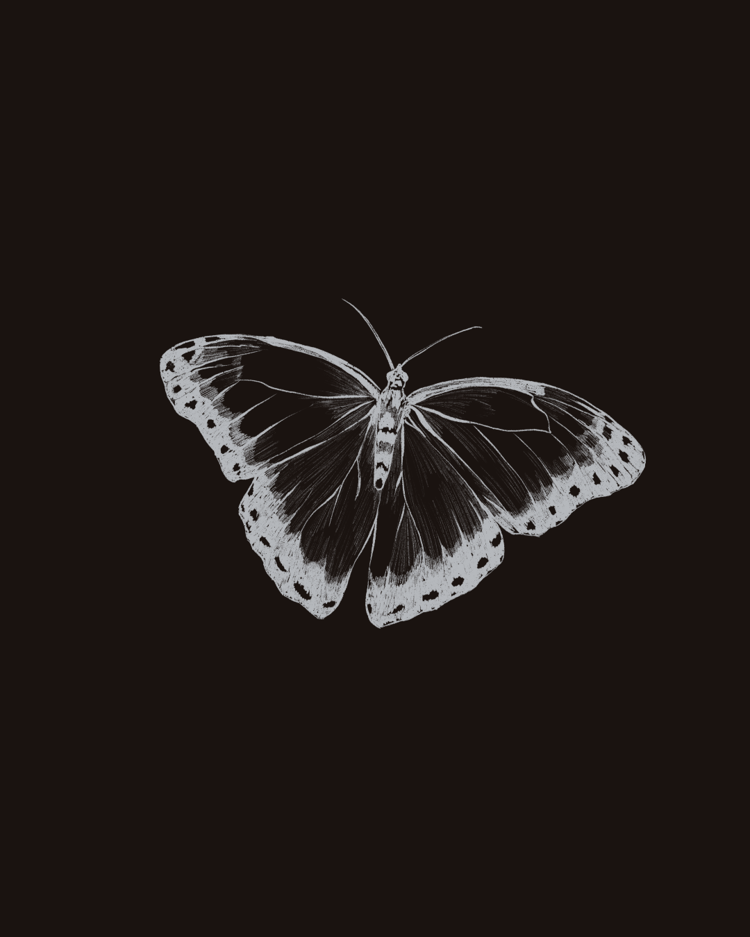 Butterfly 2