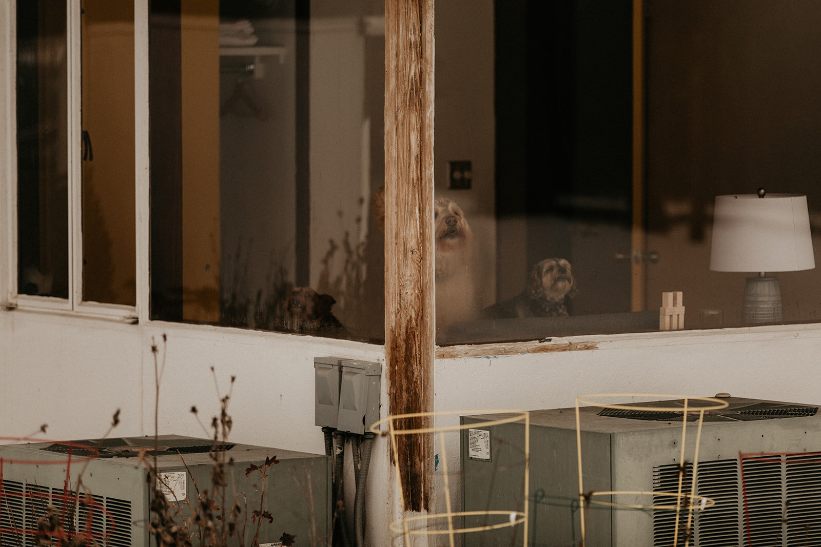 049_Amanda_Tommy_Minimony_12.19.20-222