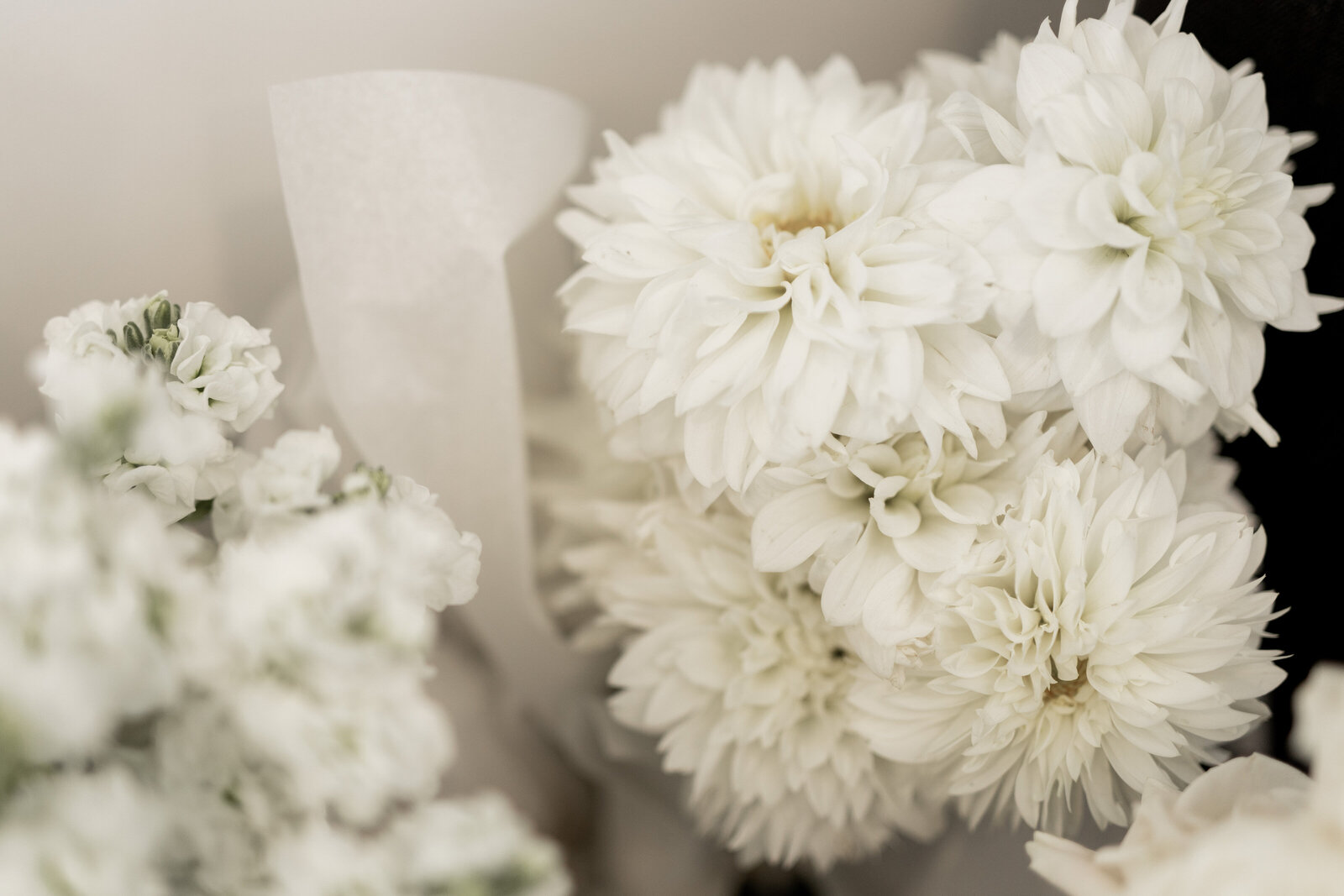 250308-Sophie-Matthew-Rexvil-Photography-Adelaide-Wedding-Photographer-120
