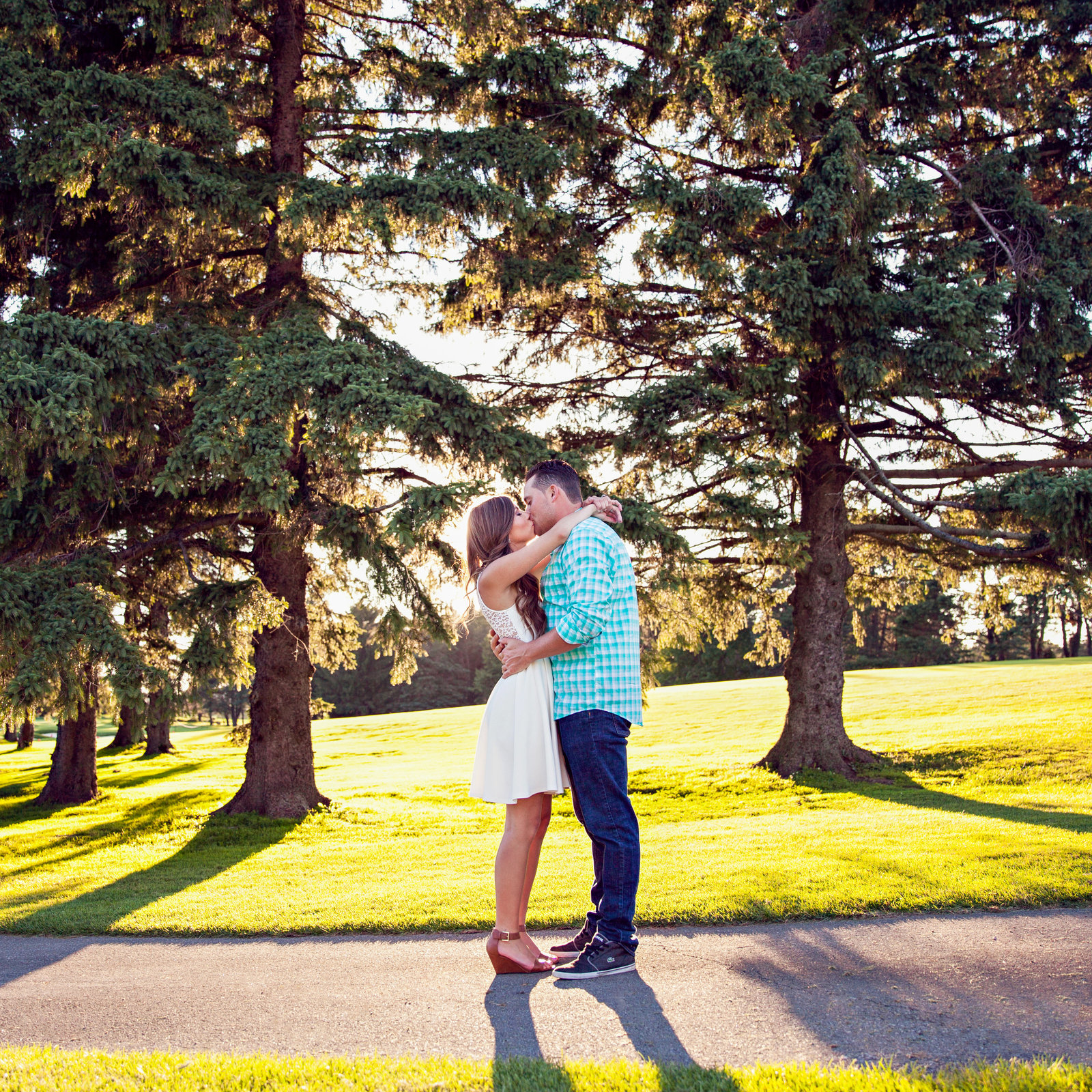engaged couple kissing in front of pine trees at sunset golden light in Hamilton
