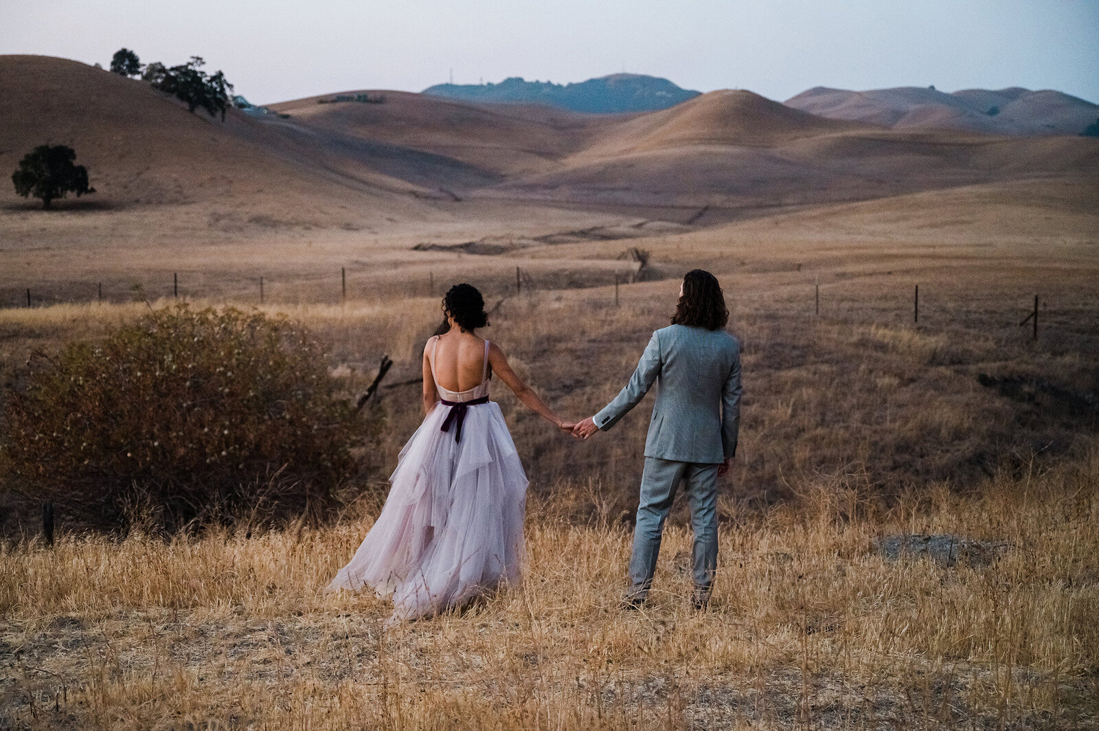 wedding at Reinstein ranch