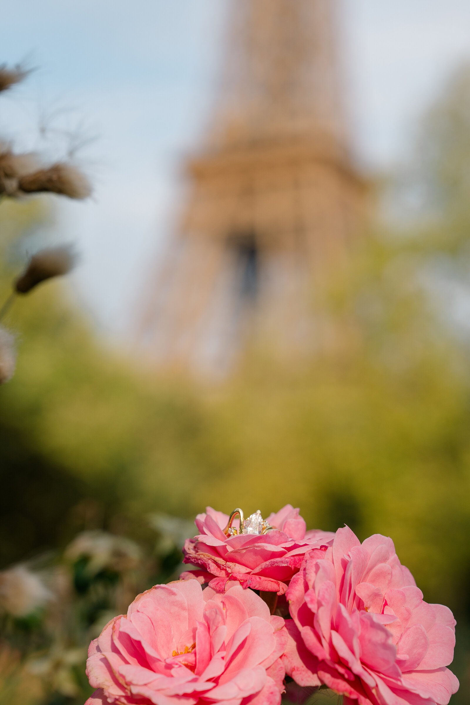 Paris, France - Eiffel Tower Proposal- Kristen Thomison-97