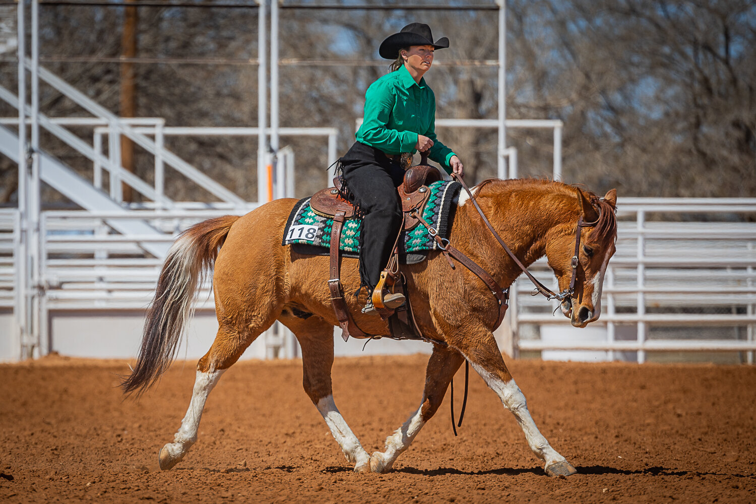 New-Mexico-Horse-Show-Photographer-033
