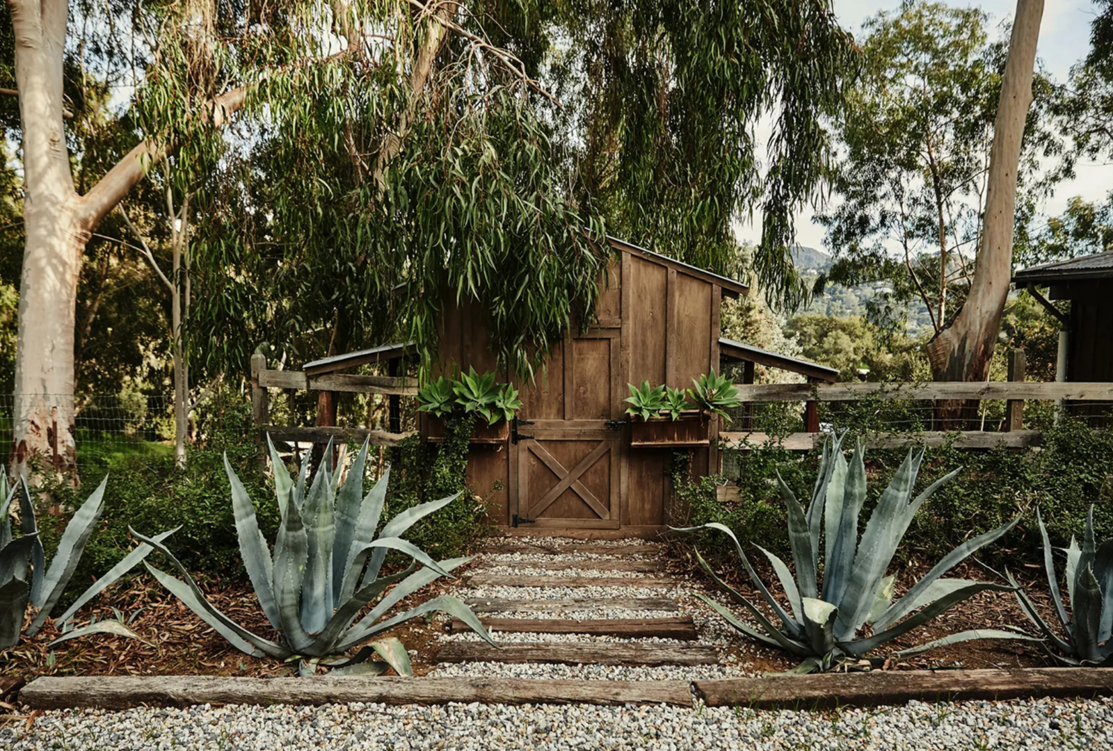 Untitled design (50)