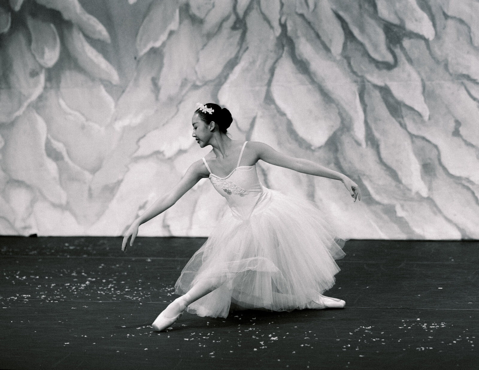 DVDA Nutcracker Dress Rehearsal 2024-2411-2