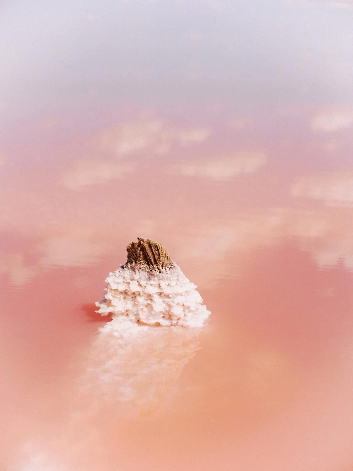 Blooming-hearts-pink-lake-editorial-by-Julia-Kaptelova-065