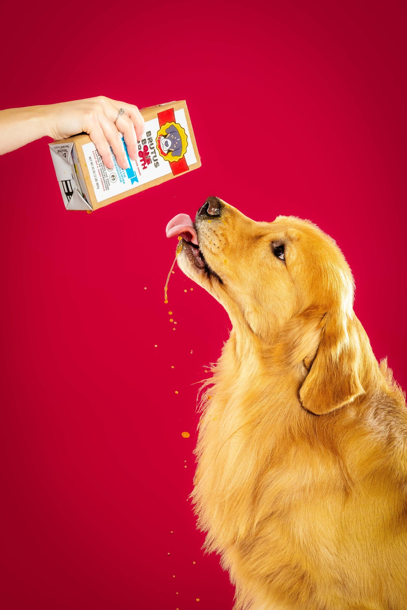 The Beloved Pup Photo Studios - Alabama Dog + Pet Photographer - Commercial Dog Photography 19