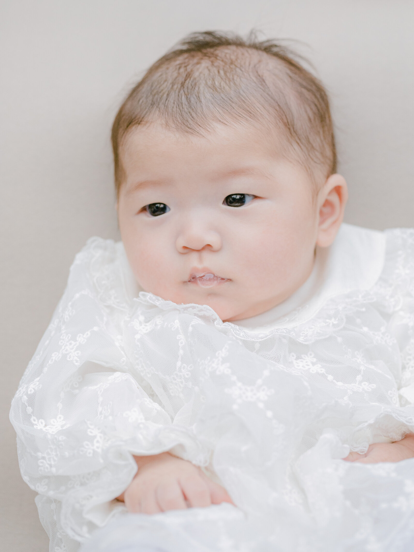 east bay family photographer events