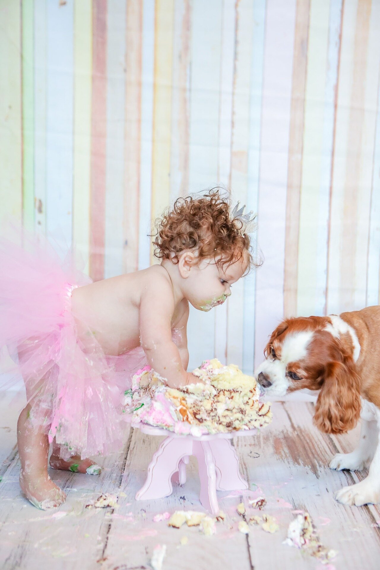 first-birthday-girl-tutu-1