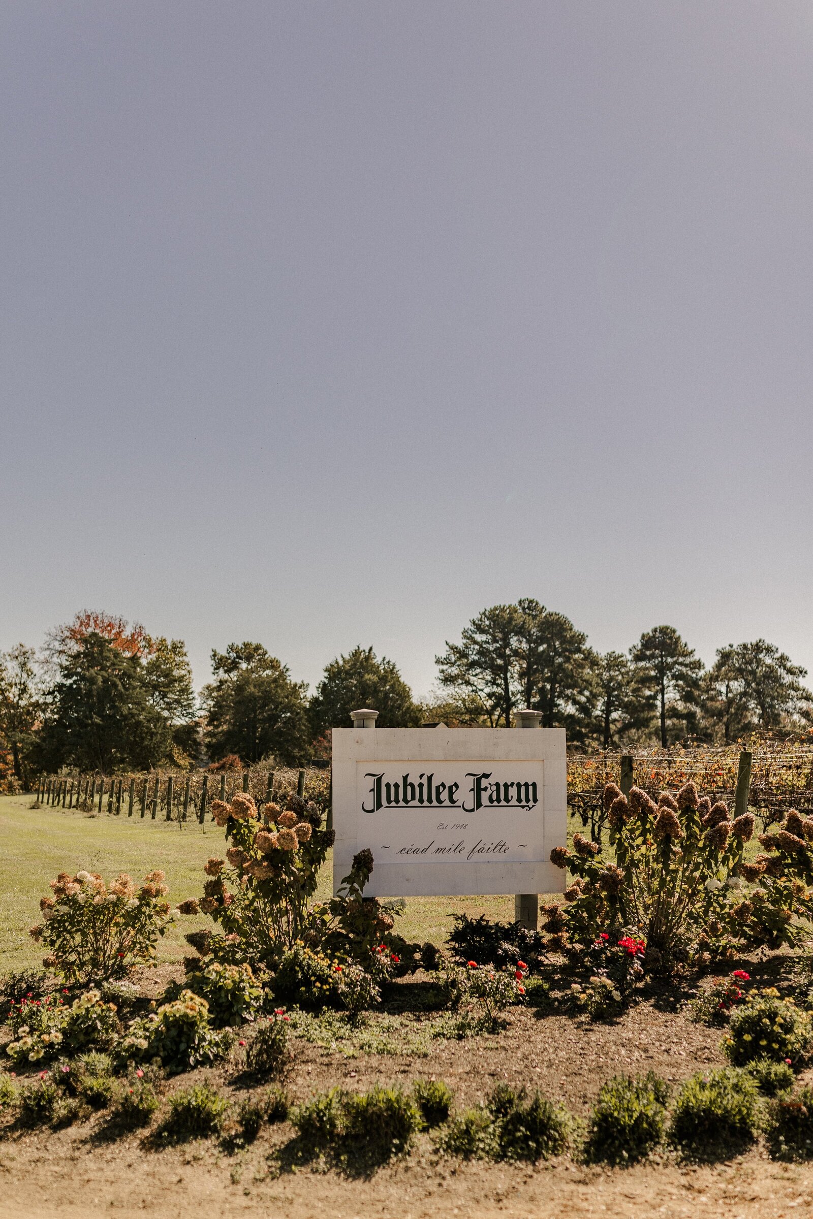 DanielleJimmyBernedWeddingJubileeFarm-527