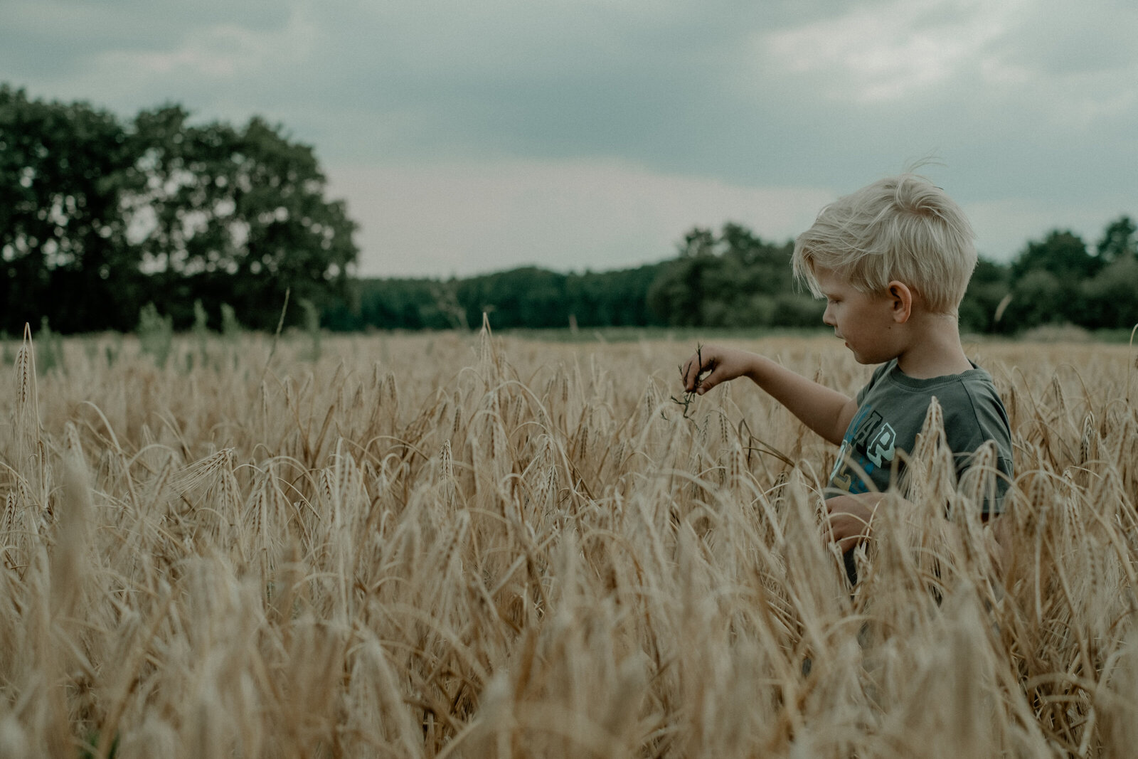 Tarweveld Fotografie Veluwe Doornspijk