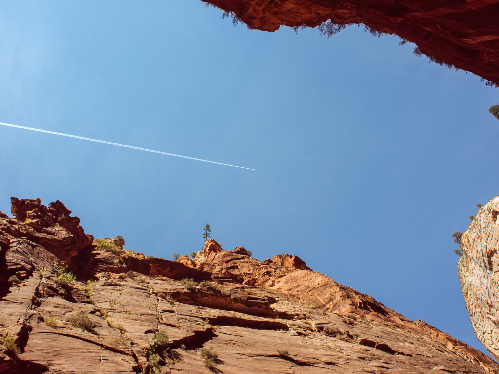 Sasha_Reiko_Photography_Travel_Utah_Arches_Canyon_Lands_Zion_Grand_Canyon-14