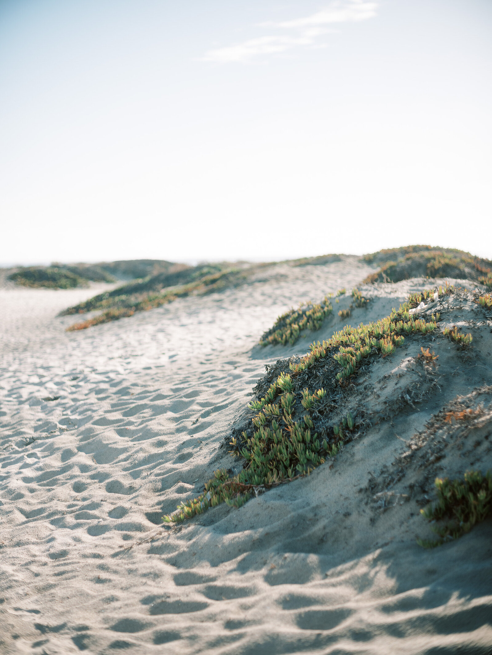 jenna-marie-photography-family-session-coronado-beach-2025-13