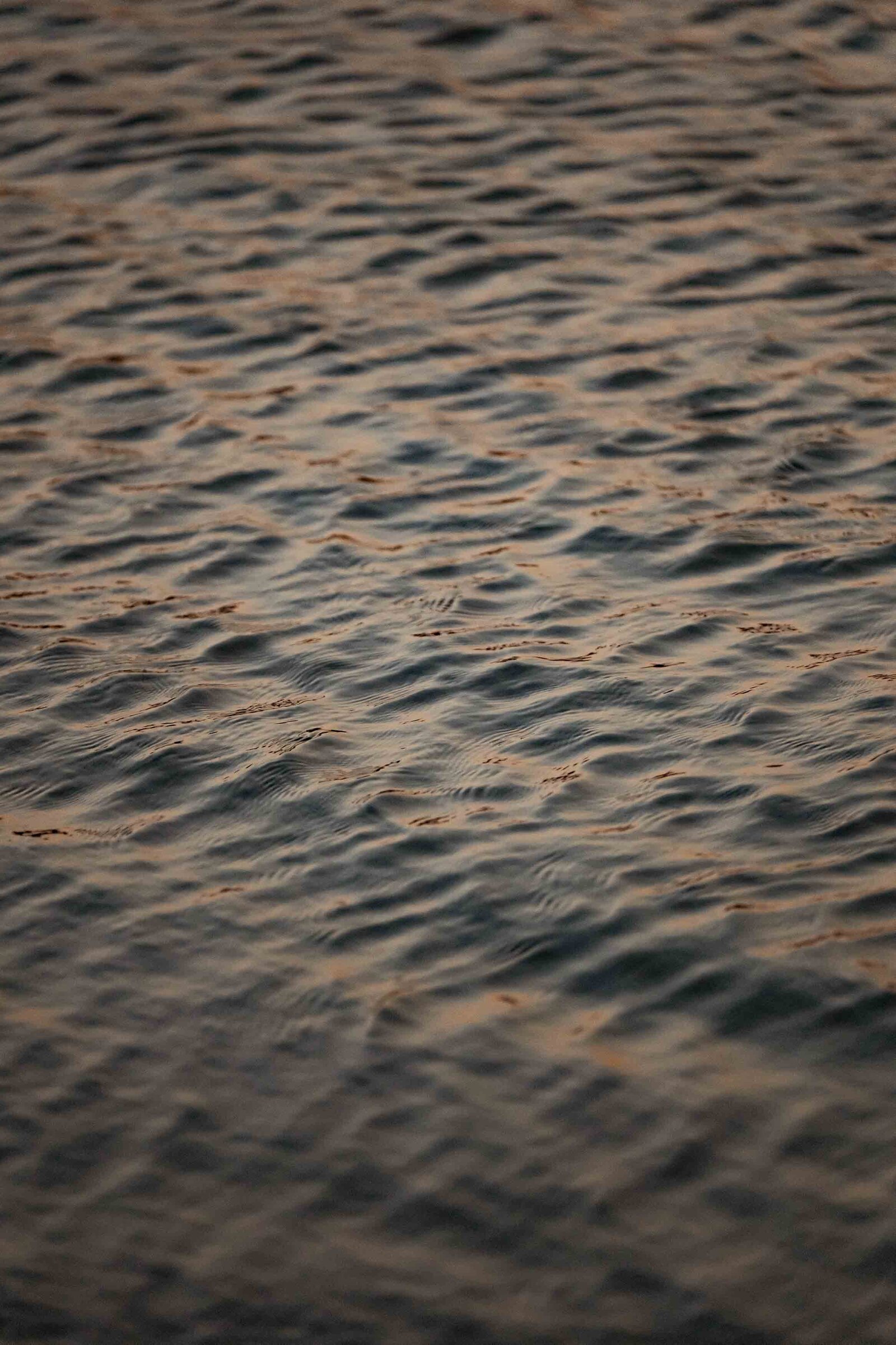 Destination-Wedding-Photographer-Cape-Town-FOMO-Fotografie-208