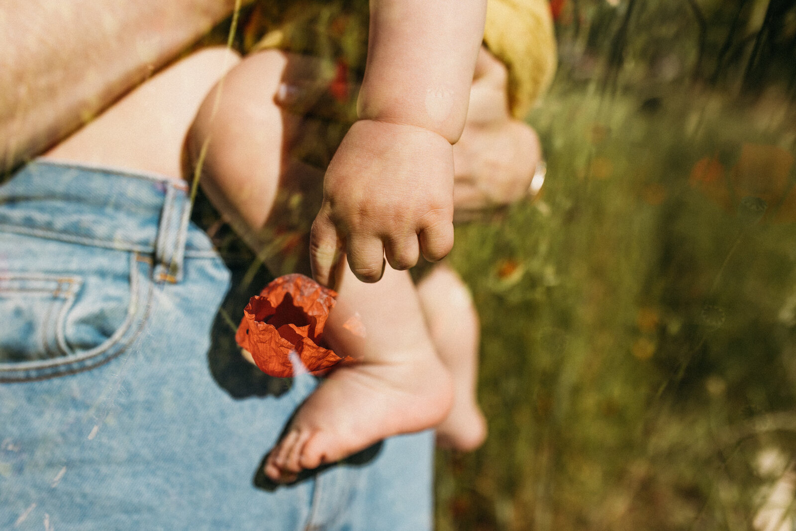 photographe famille lifestyle thonon - photographe famille haute savoie - vanessa amiot