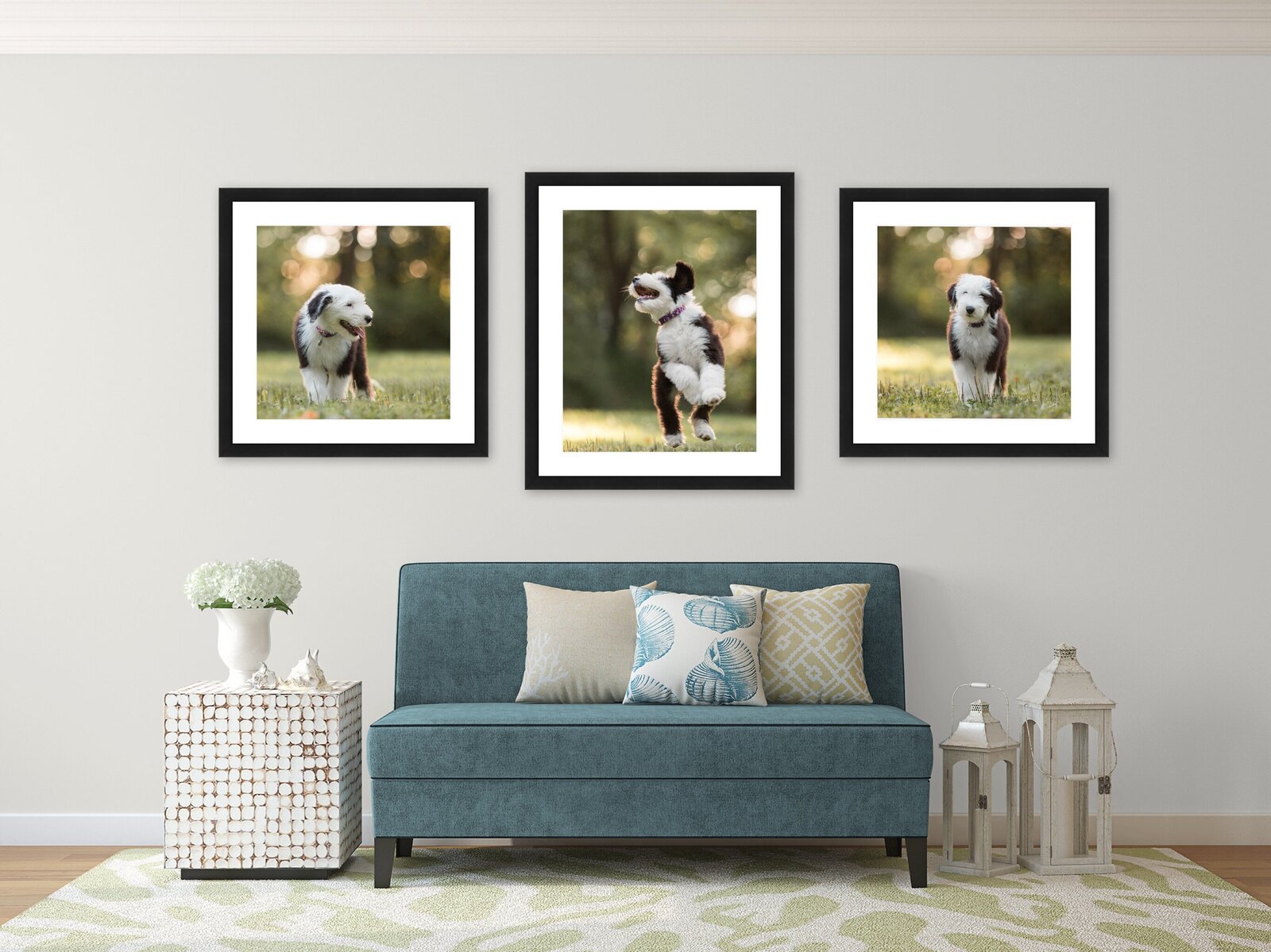 pittsburgh pet photographer family photos pgh wall art portraits best home decor pictures living room great room family room wall
