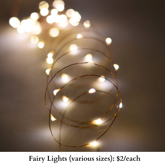 Fairy Lights-526