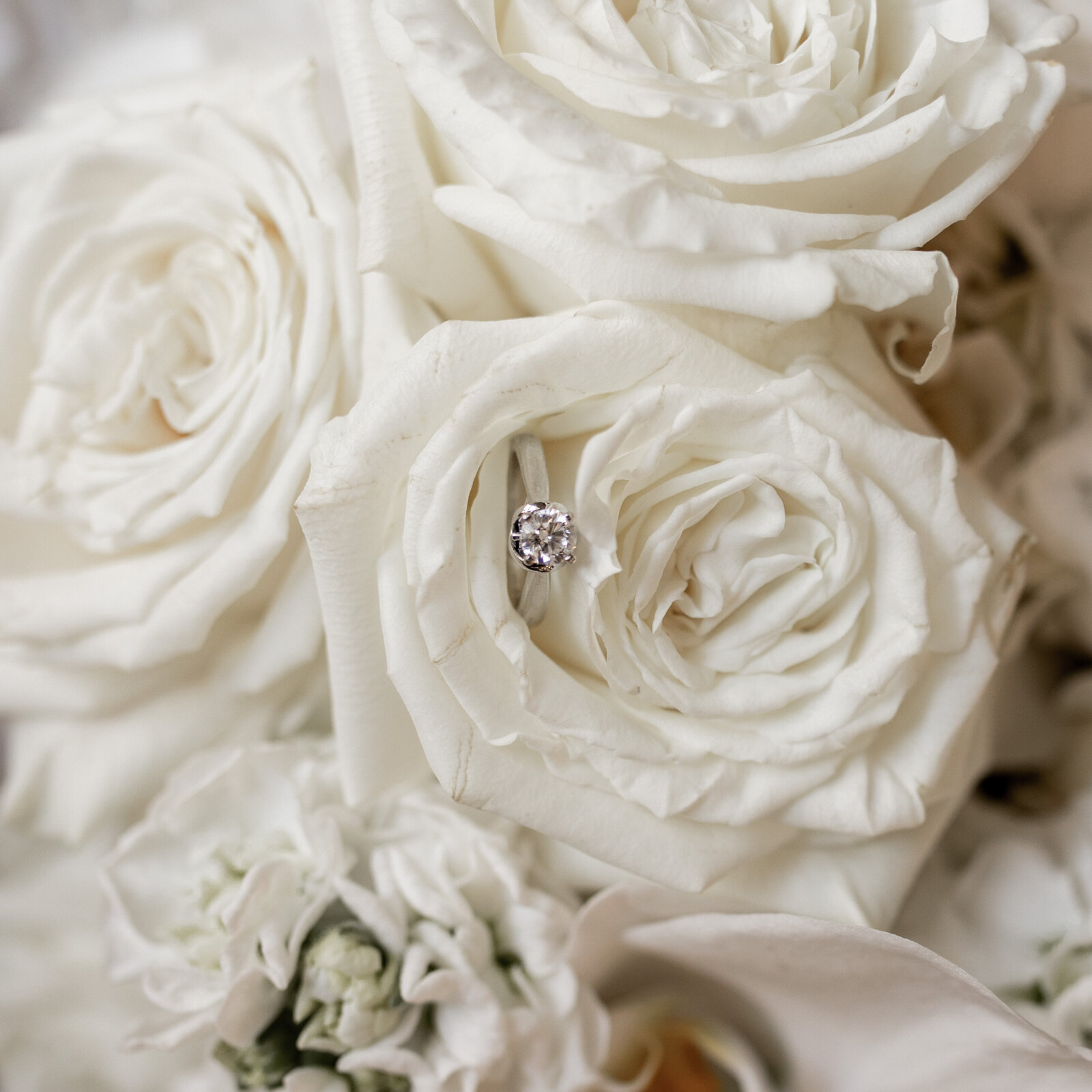 250308-Sophie-Matthew-Rexvil-Photography-Adelaide-Wedding-Photographer-108
