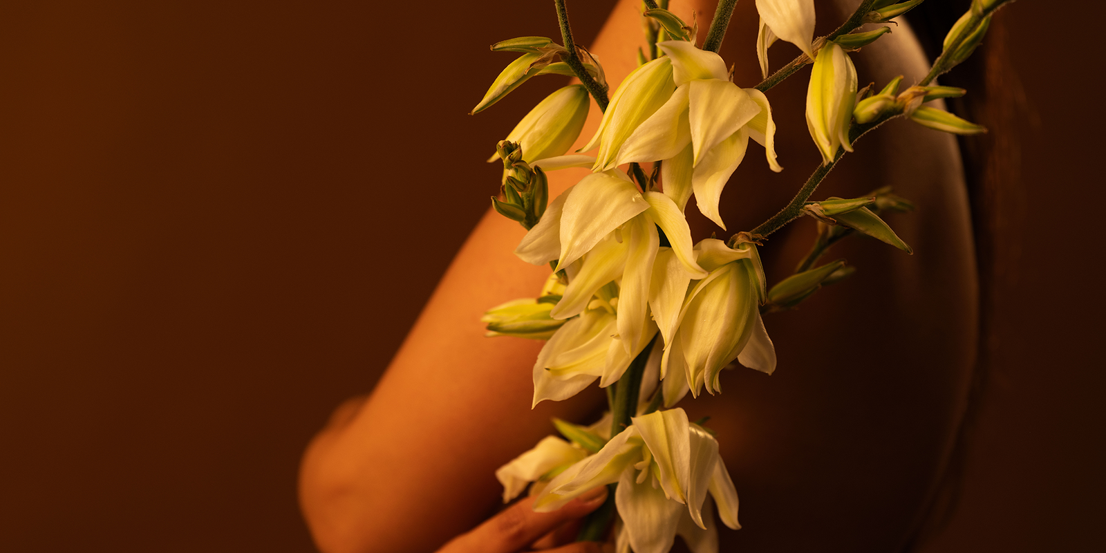 _Follow us into a garden01