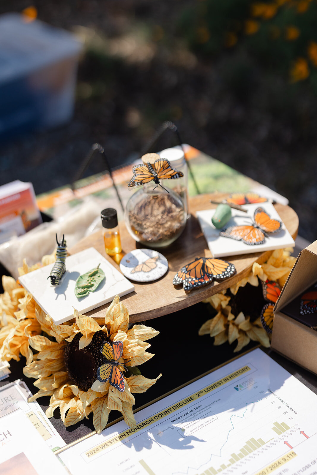 Brookeboroughphotography_californiaorganiccenter-19304