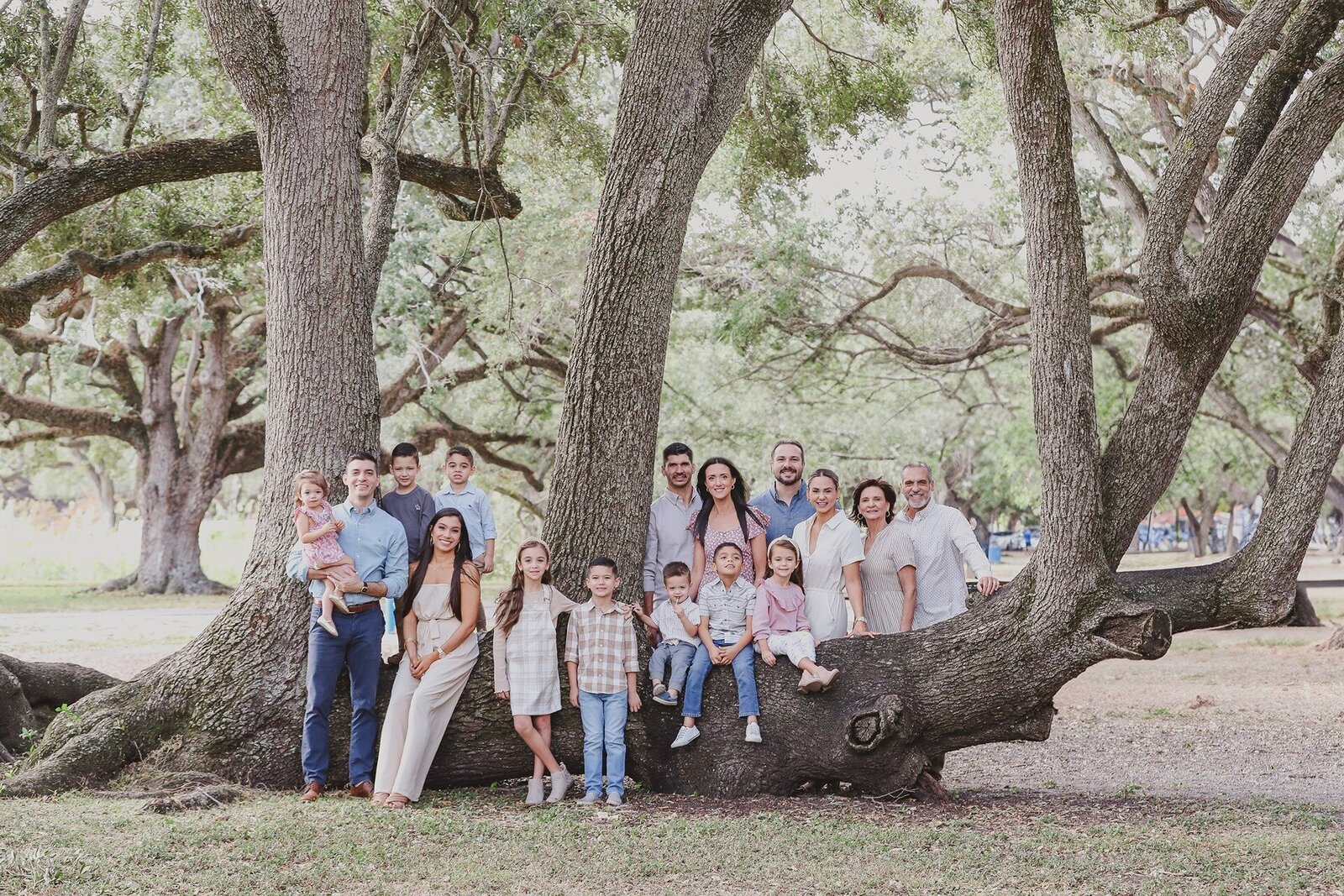 extended-family-florida-tree