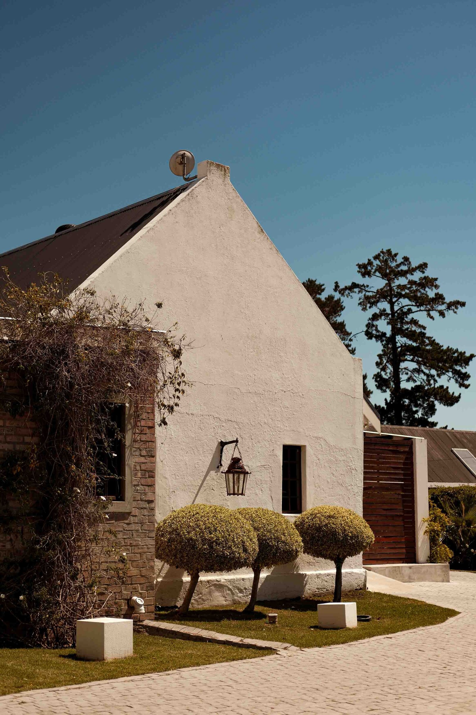 Destination-Wedding-Photographer-Cape-Town-FOMO-Fotografie-217