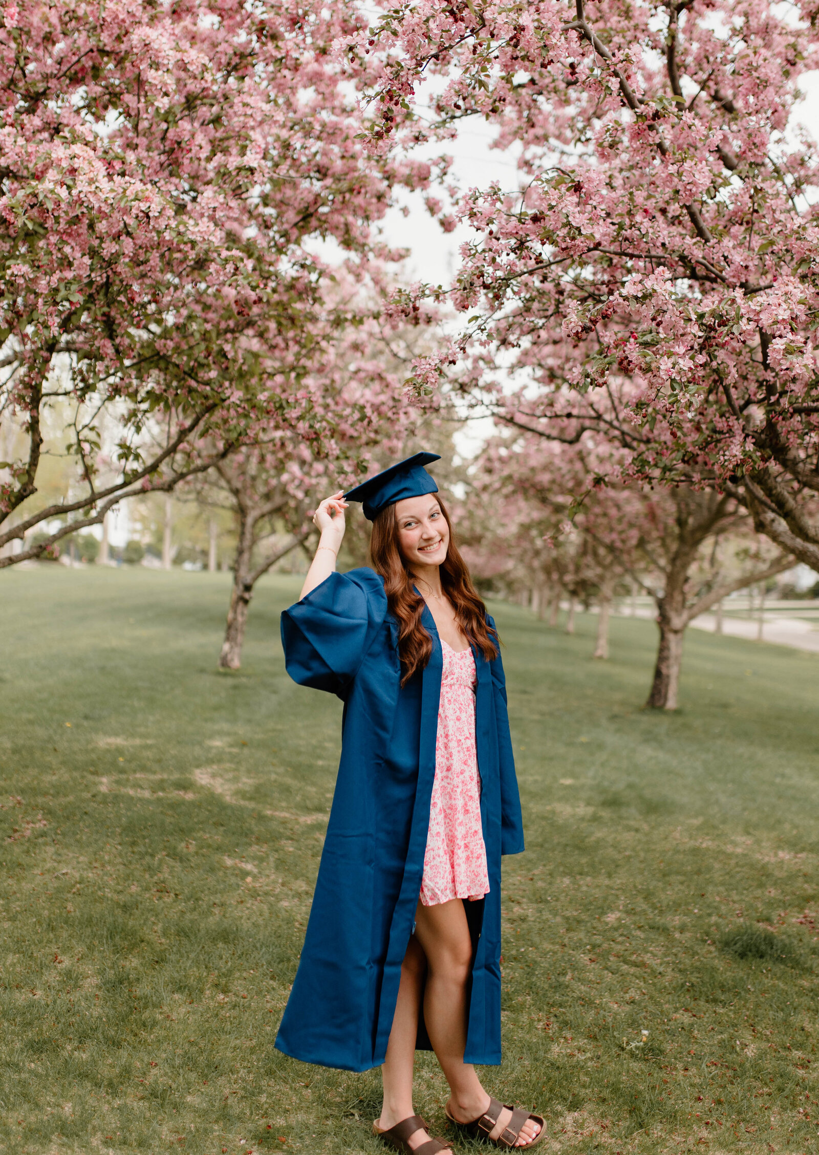 grad-7