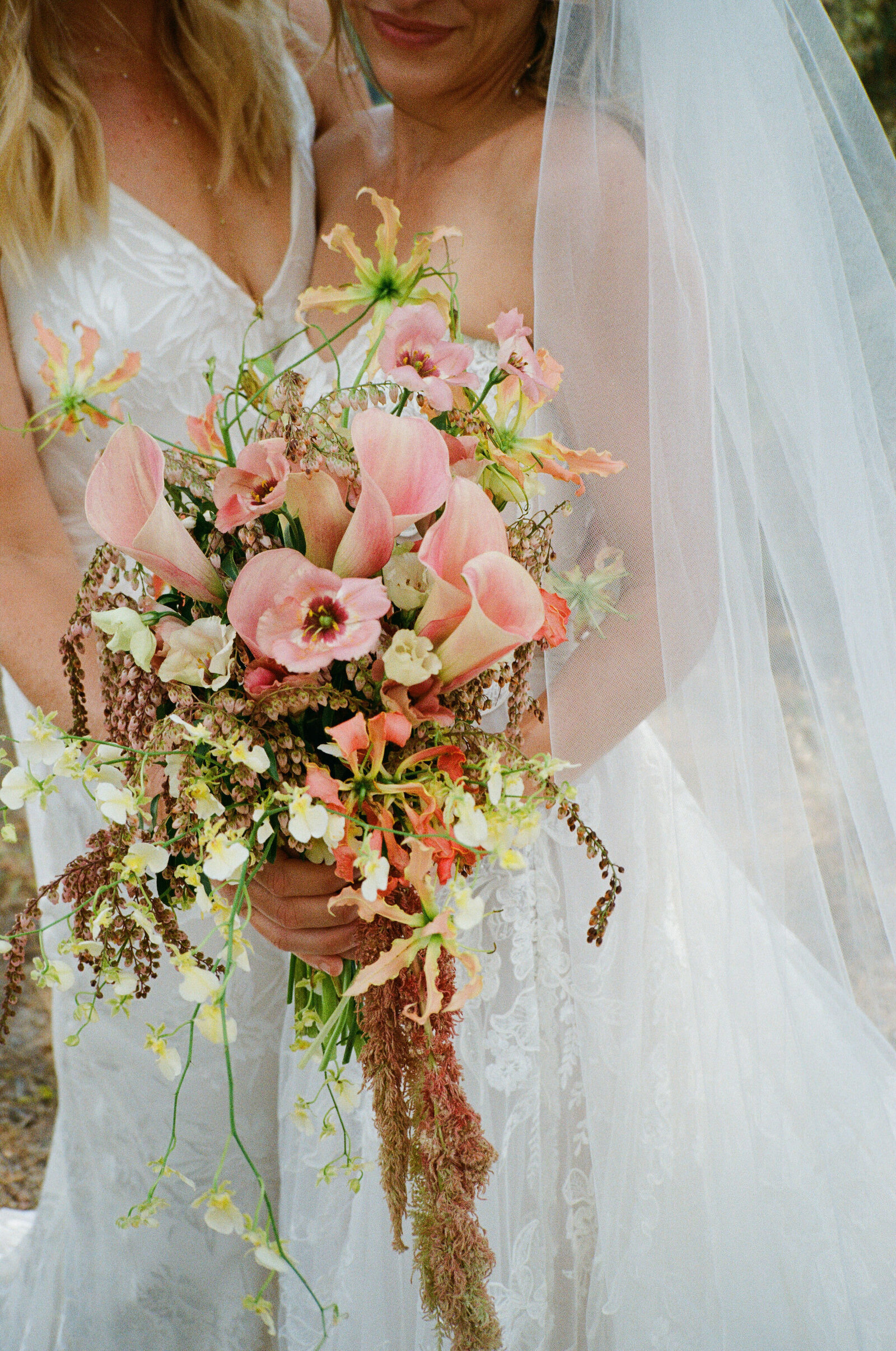 mel+goldiefilmscanssunnieheersphoto-72