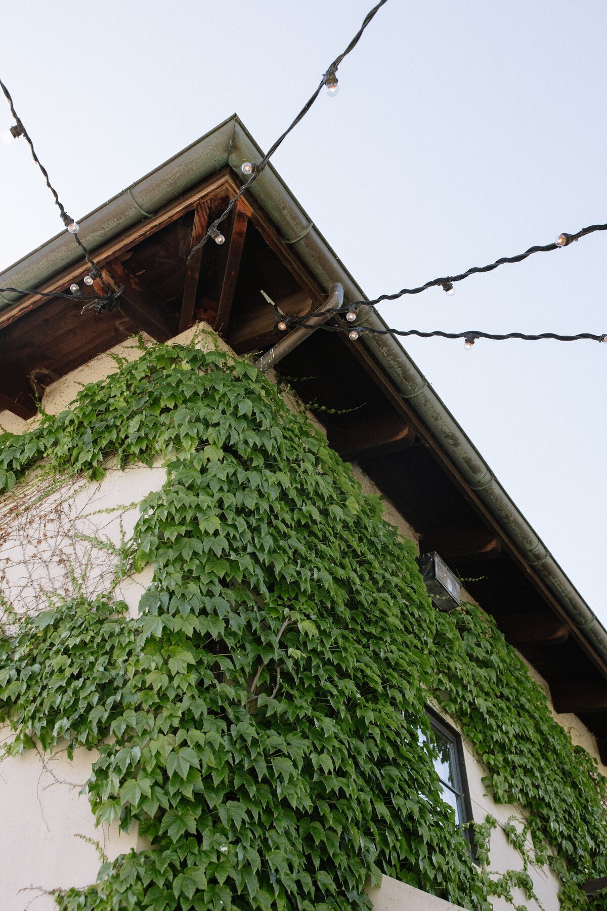 Wedding venue with ivy vines taken by destination wedding photographers