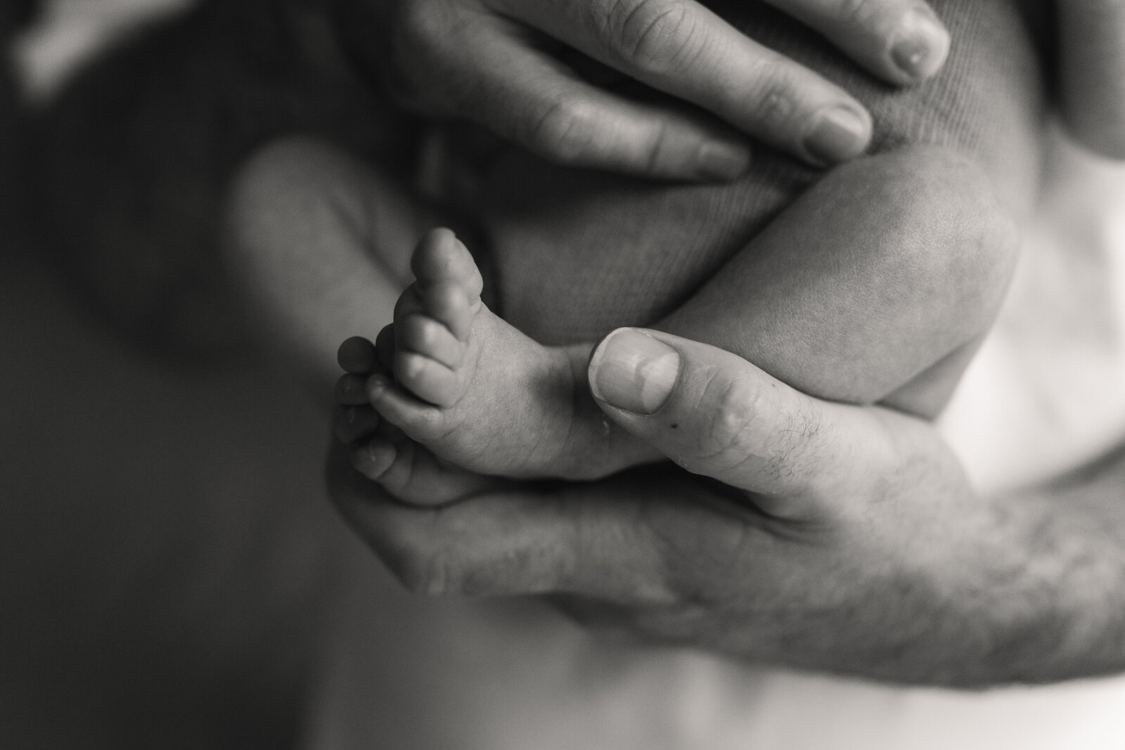 hawkesbury-in-home-newborn-photographer-natural-style