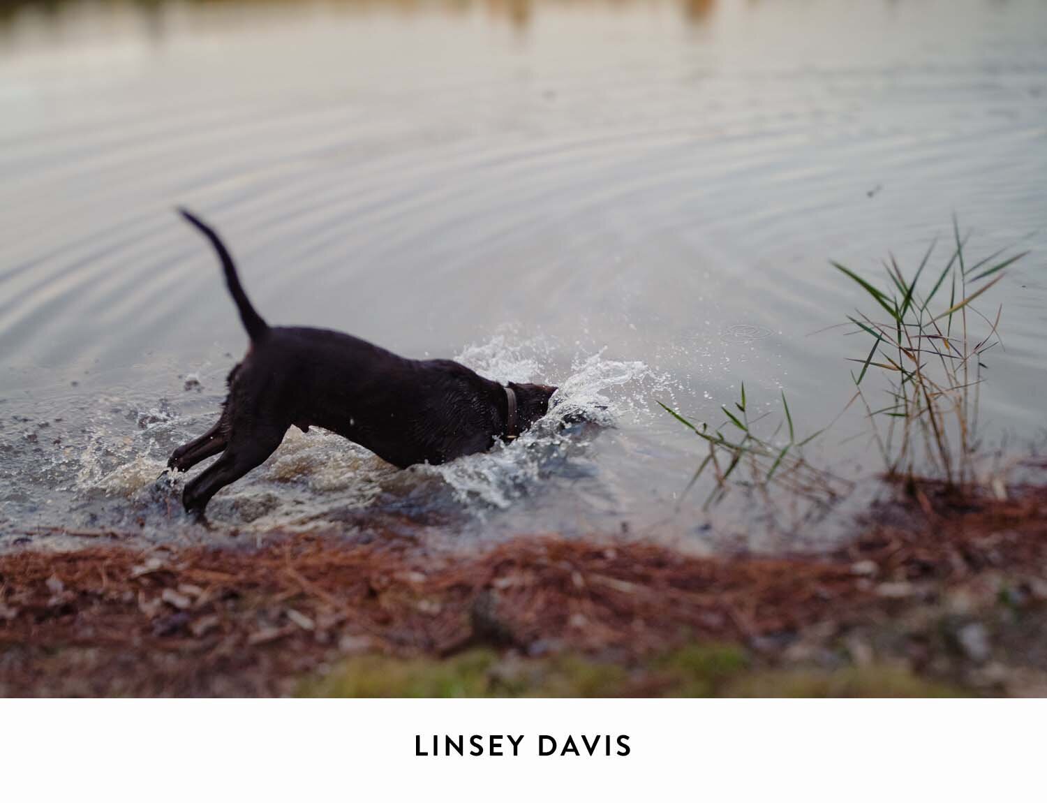 Documentary_DavisLinsey_0-10