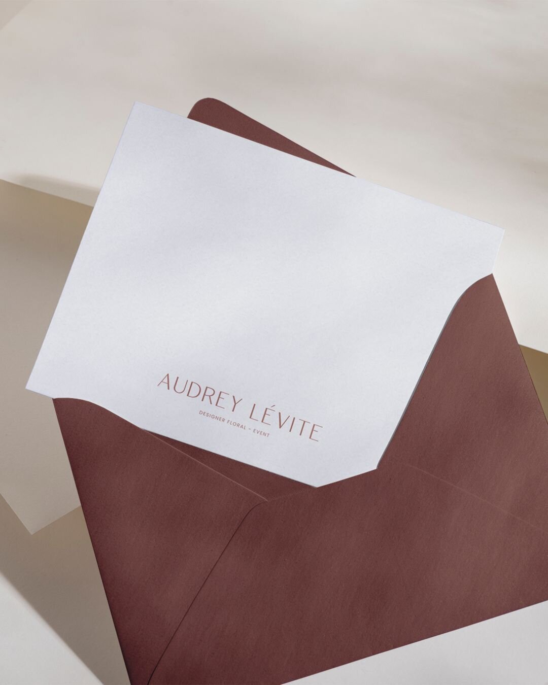 conception-identite-de-marque-site-web-designer-levite3