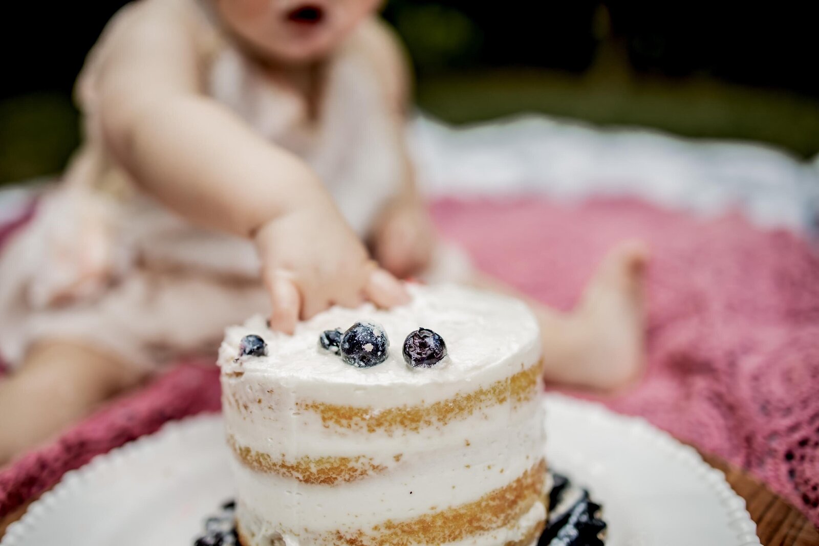 smash cake photography session
