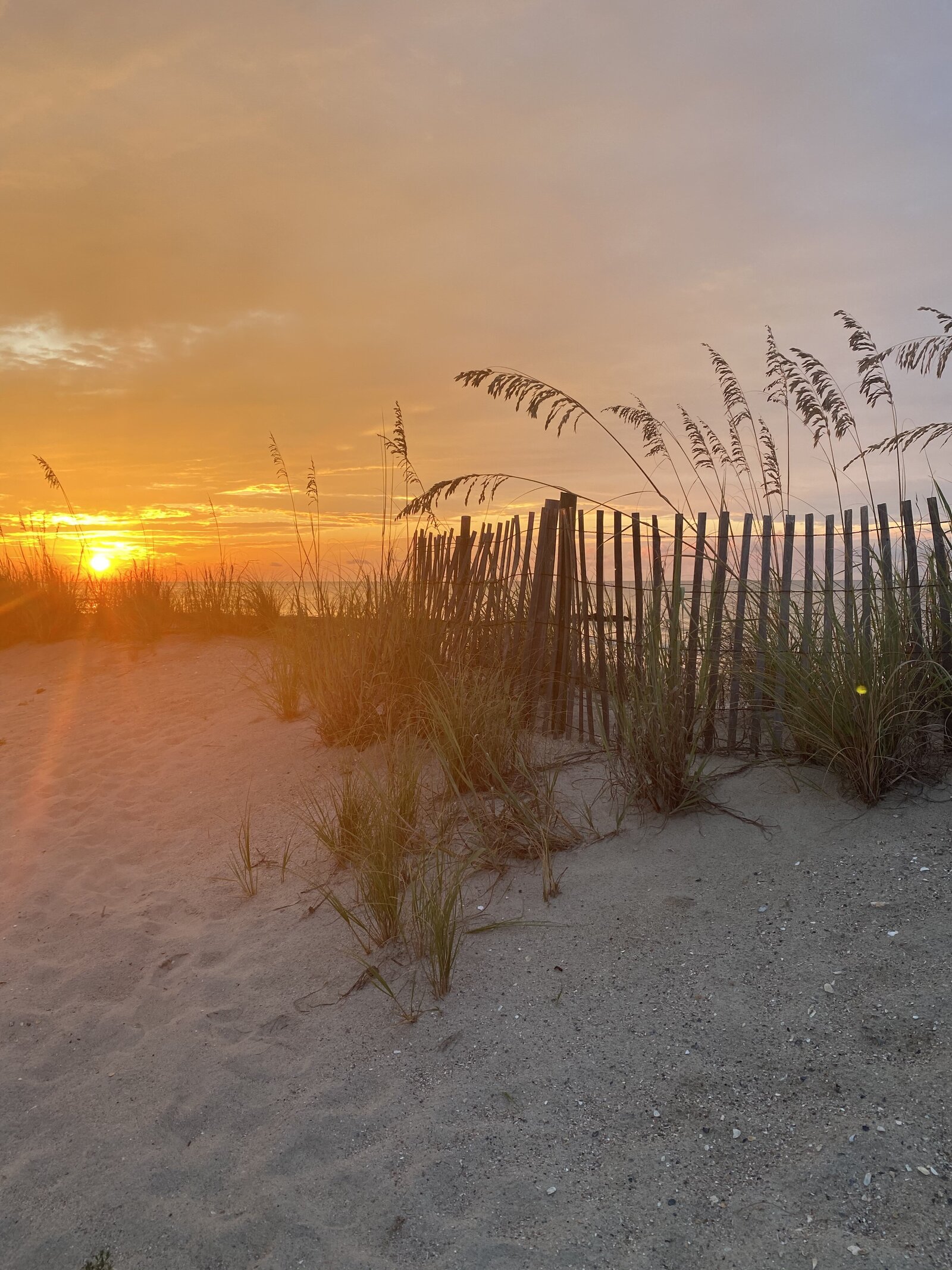 SCsunrise