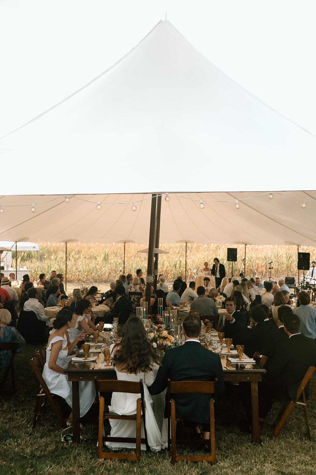 intimate-wedding-toronto-1