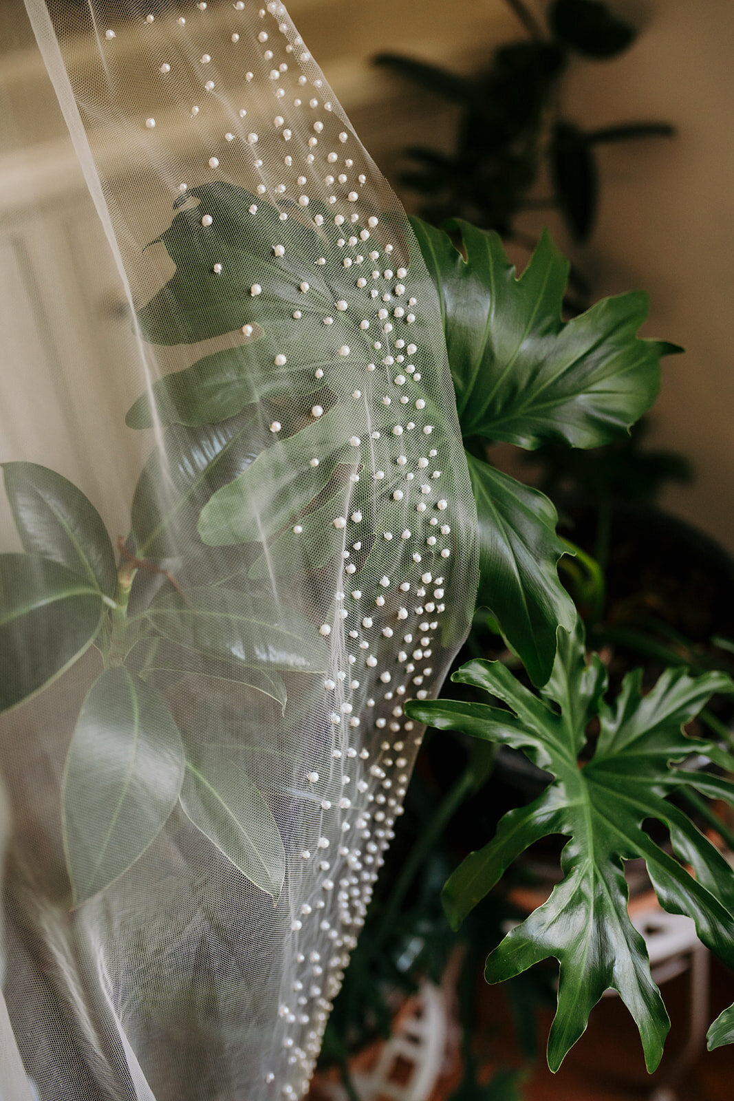 MichelleGodfreyPhoto_TheSenecaRidge-7_websize
