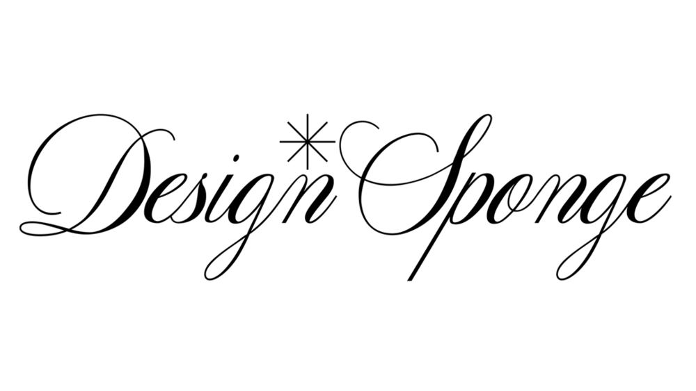 design-sponge-logo-original2011