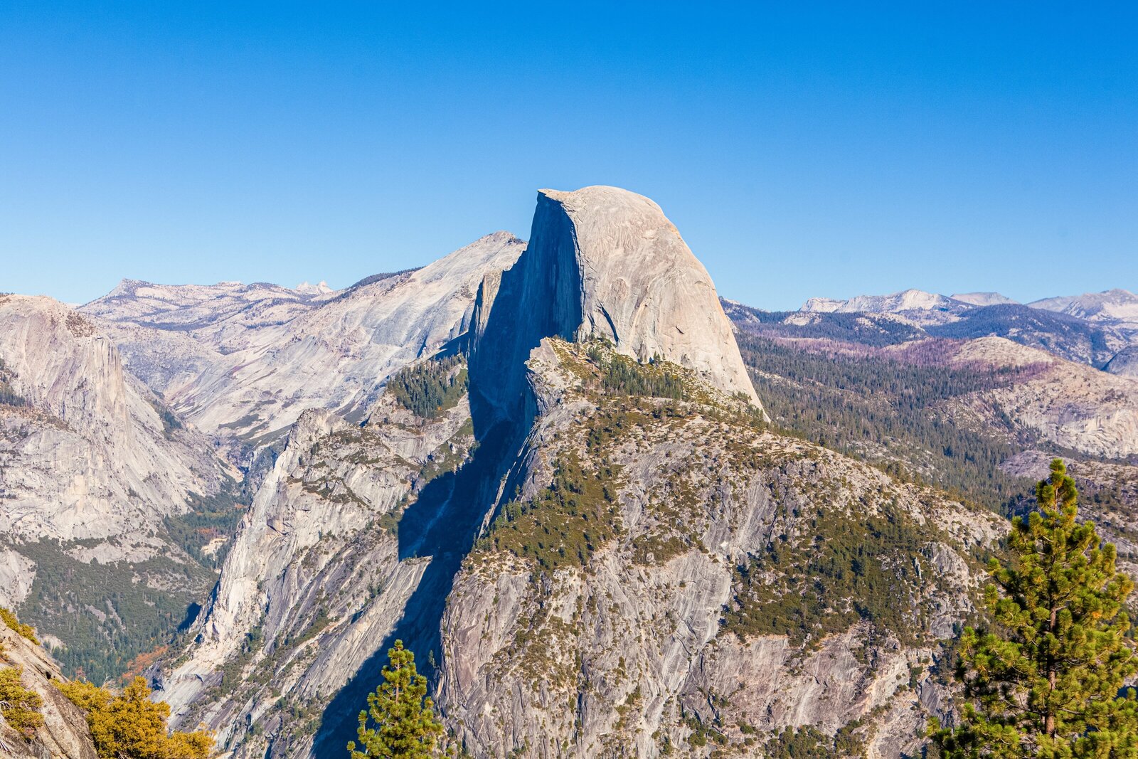 Yosemite-National-Park-Valley-California-Forest-0005