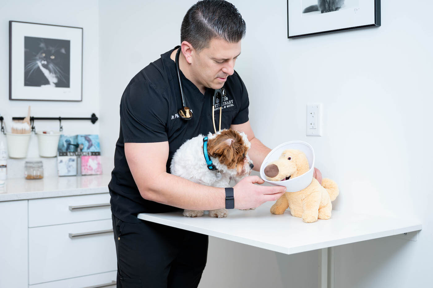 Dr. Putter with dog in Spot On Vet exam room (2) 