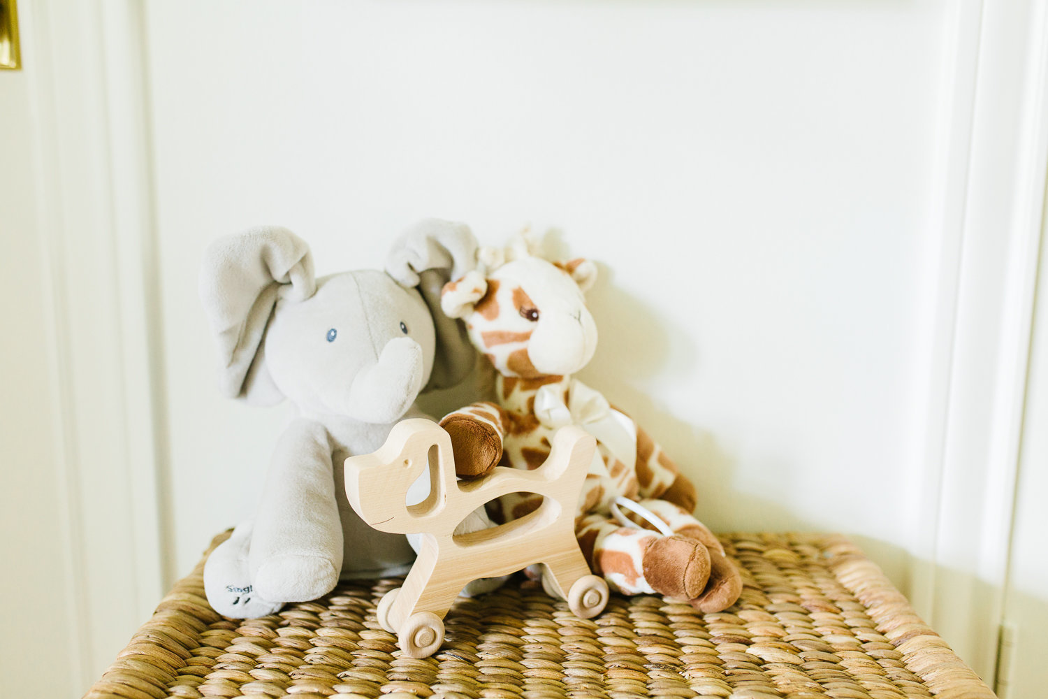 Campbell_dallasnewbornphotographer-3