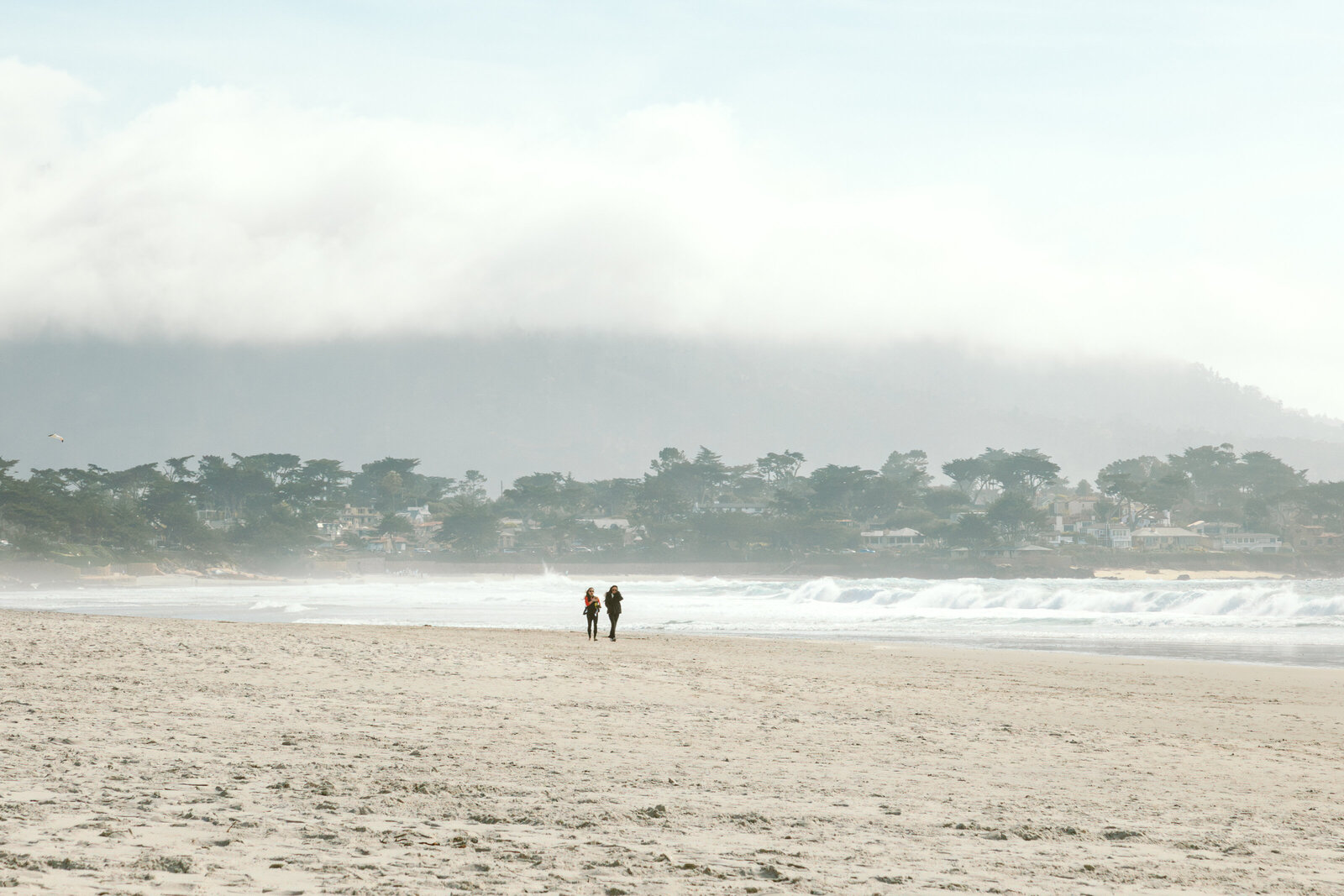 Cingari Monterey Proposal 4