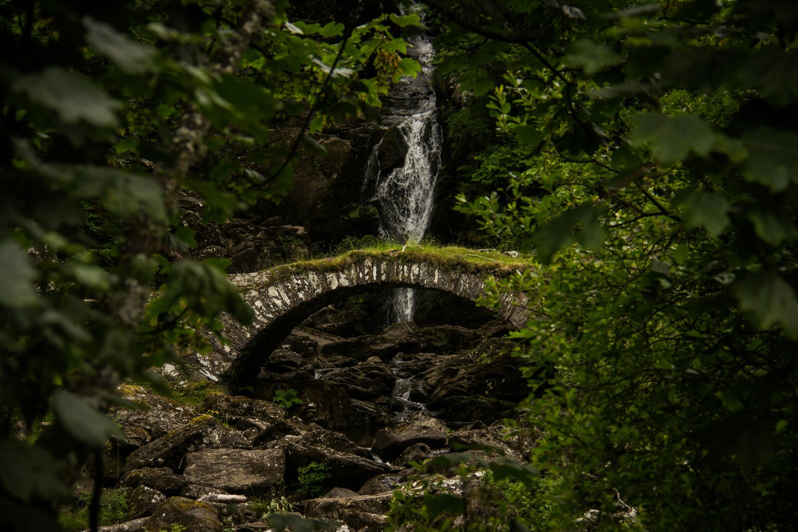 luke-paris-AdTY2eti9m4-unsplash