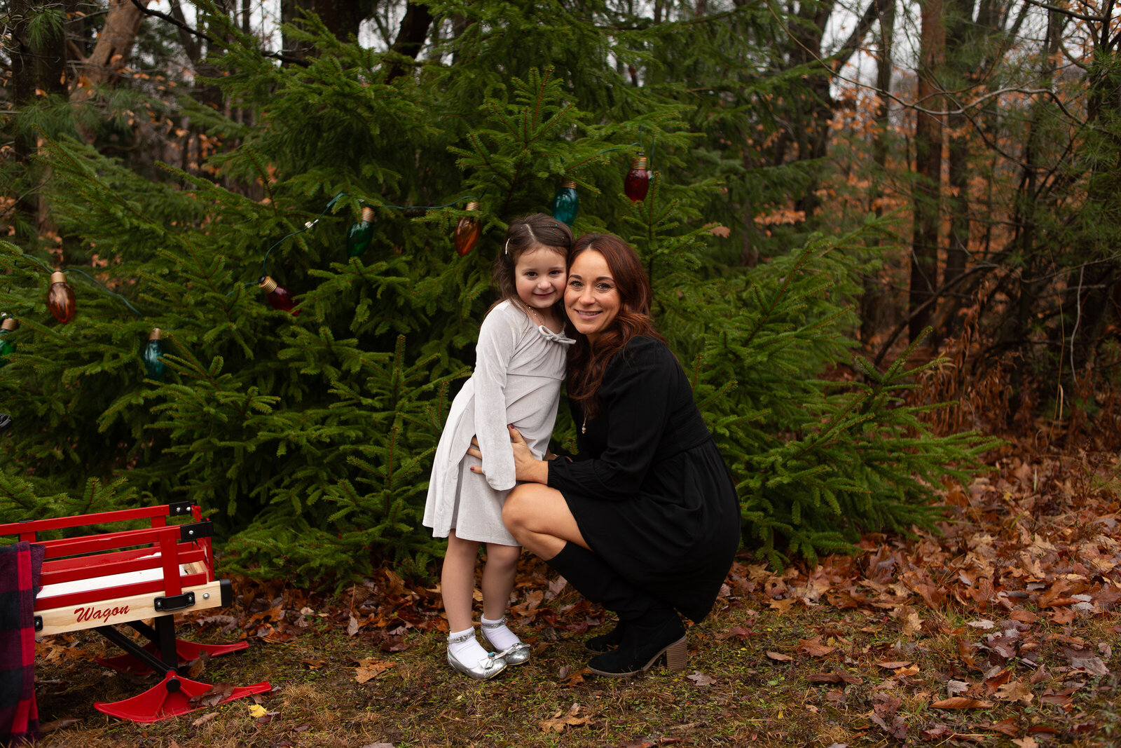 Hannon Christmas Mini (11)