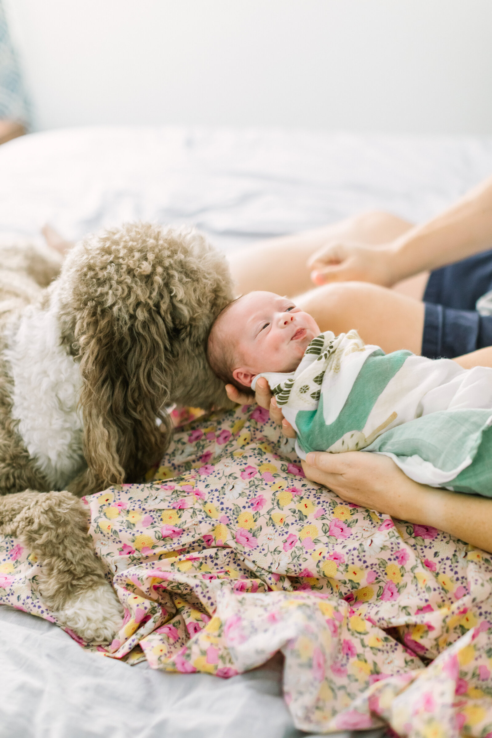 in-home-newborn-session-dallas.jpg