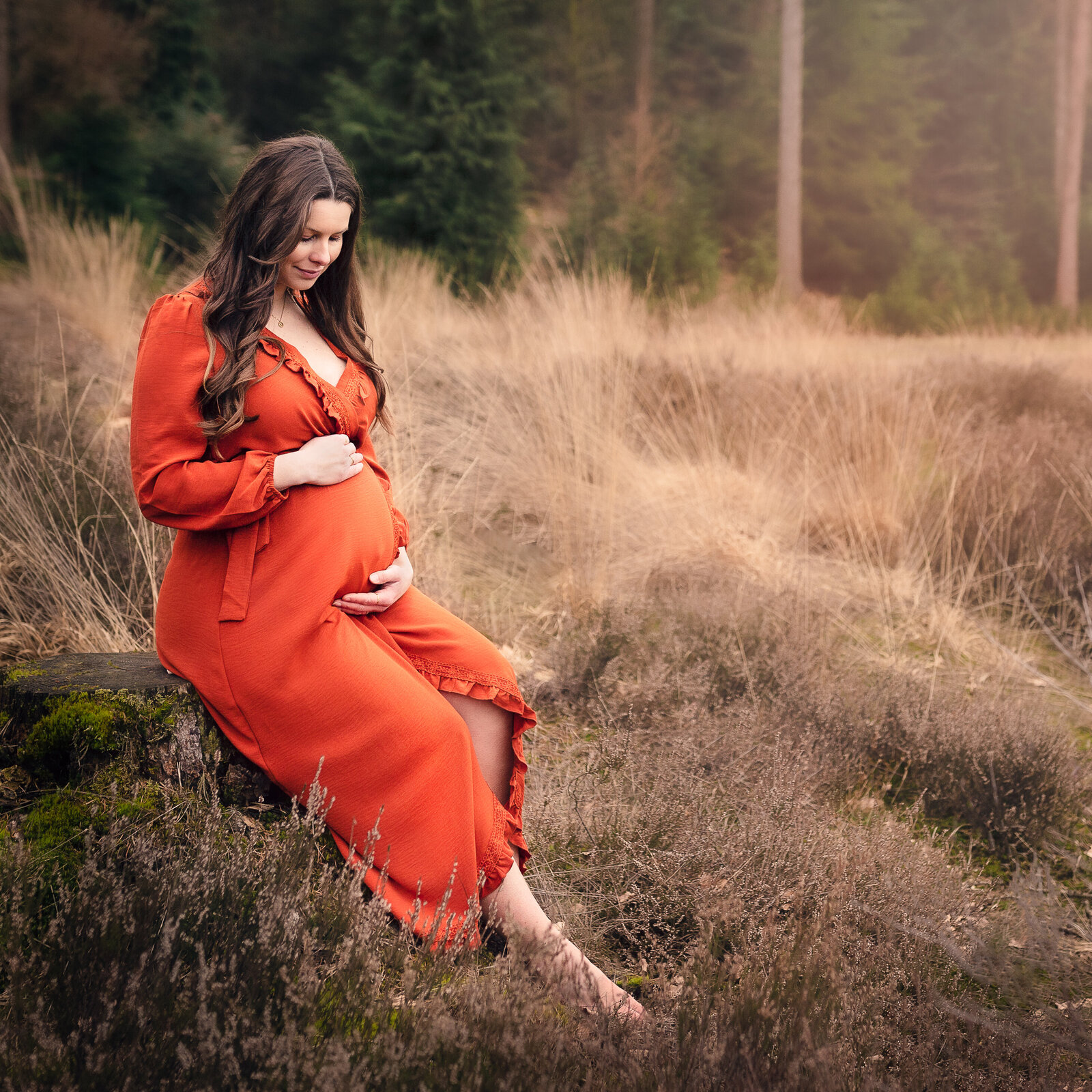 Zwangerschapsshoot Marloes den Braven