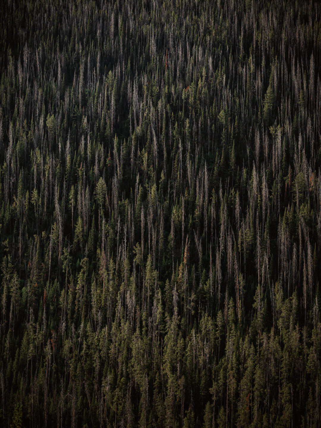 Resolute Territory - Landscape Fine Art Prints - 6