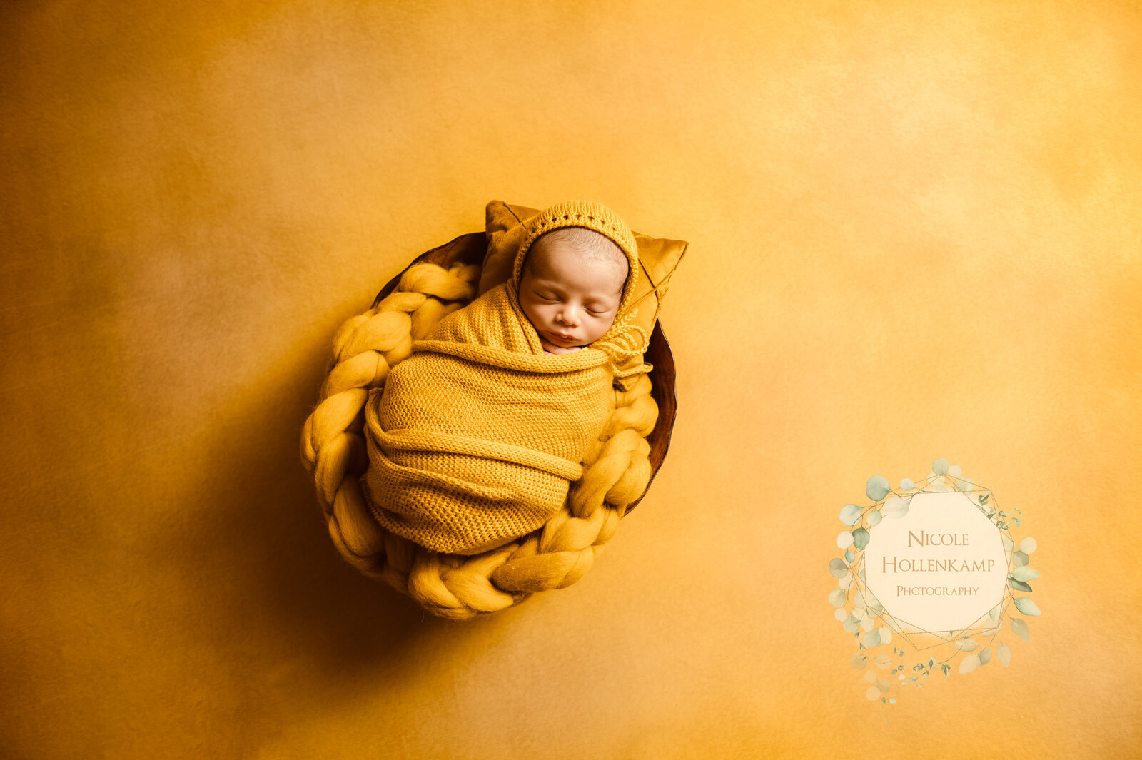 Minnesota Newborn Photograper