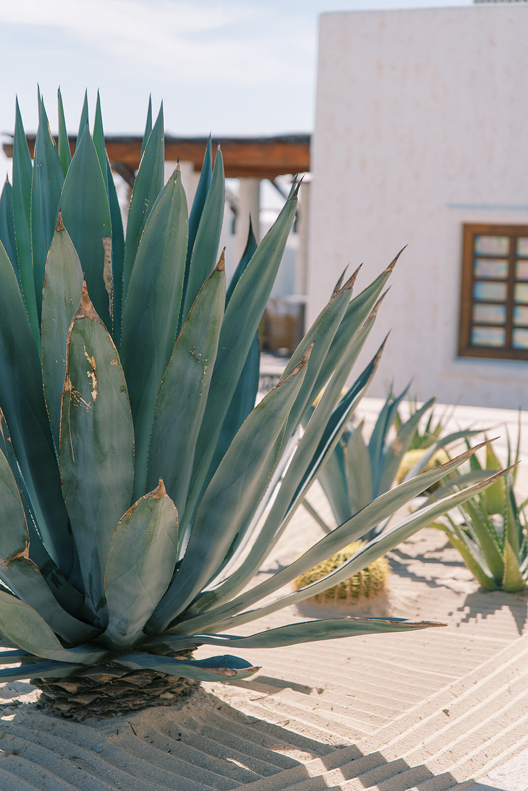 las ventanas al paraiso_Cabo Wedding Photographer 116