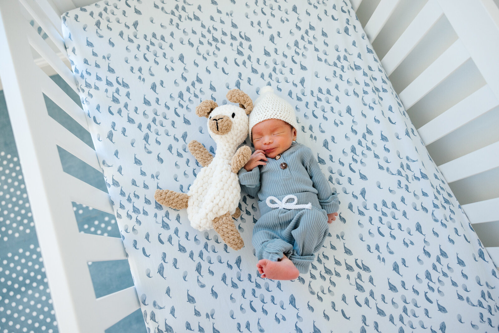 Boston Newborn Photography--15